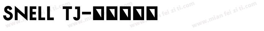 snell tj字体转换